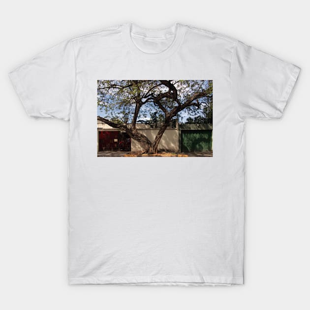 Walking Around Teguz - 1 - A Tree In The Middle © T-Shirt by PrinceJohn
